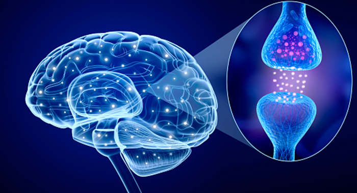 neurons neurons